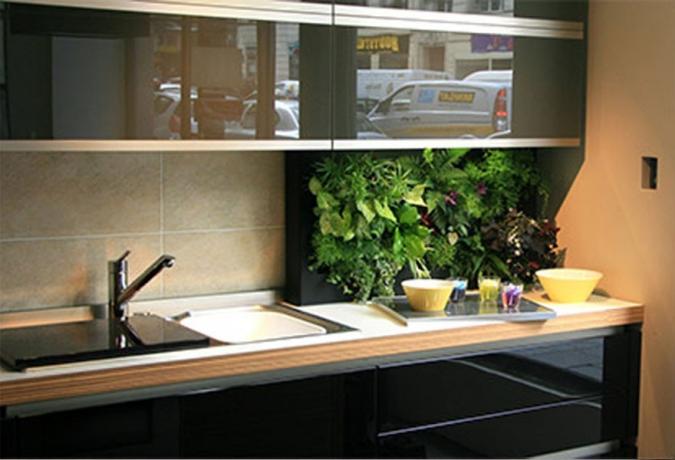 Žalieji virtuvėje - šviežios namų augalų naudojimo idėjos