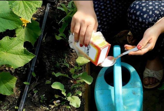 6, nestandartiniai būdų, kaip naudoti soda pačiame namų į džiaugsmą