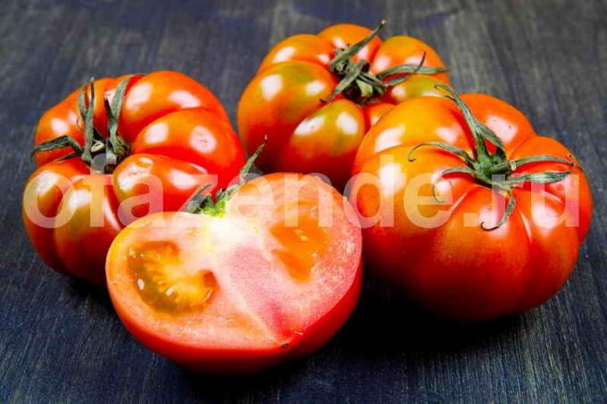 Greitai blushed pomidorais