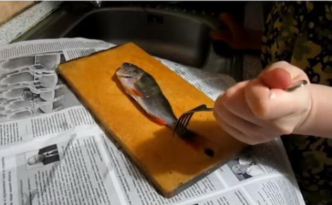Norėdami mažos žuvys nepraslystų, jis gali būti nustatytas su šakute. 