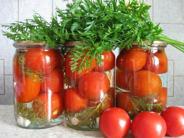 Konservuoti pomidorai su morkų lapai turi neįprastą skonį. Iliustracija straipsnyje naudojamas standartinis licencijos © ofazende.ru