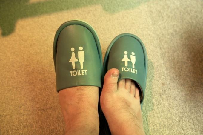 Japonai yra labai budrūs, kad, taip, kad net į tualetą jie turi specialius batus. Populiariausios nuotraukos / Foto: travellingjoel.files.wordpress.com