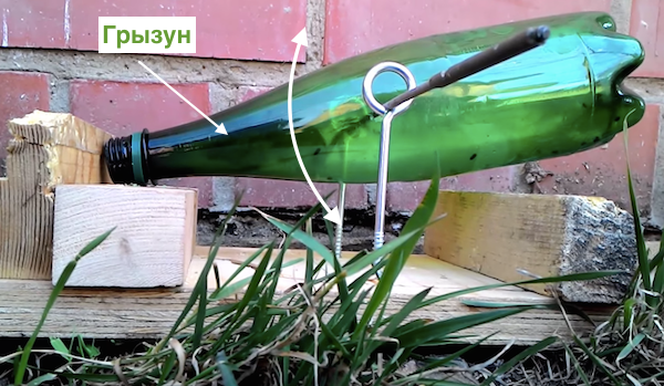 Atsikratyti pelių naudojant naminį spąstai, iš plastikinio butelio
