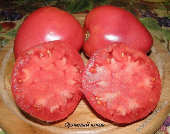 Nuotrauka iš pomidorų pomidorų