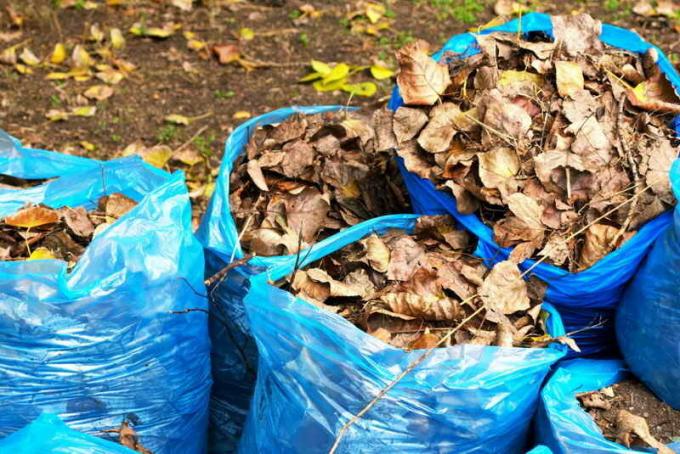 Kompostas į maišus nukritusių lapų. Iliustracija straipsnyje naudojamas standartinis licencijos © ofazende.ru
