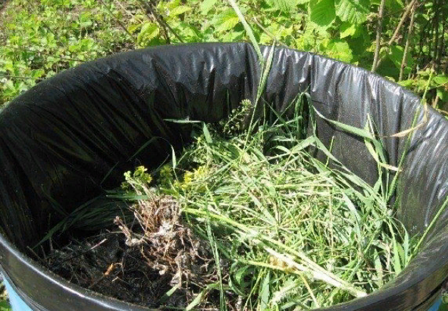 Kaip virėjas kompostą