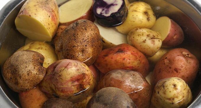 Pabandykite trinti maišyti skirtingų veislių bulvių metu.