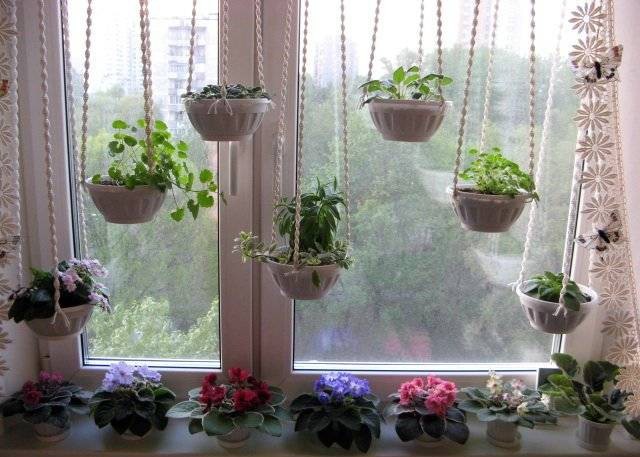 Originalus langų dekoravimas augalais