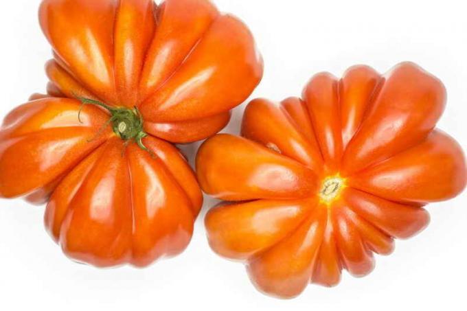 Dėl augančių pomidorų "jautienos širdis" paslaptis