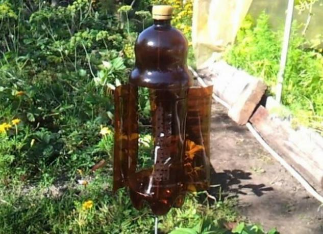 Naudinga naudoti plastikinių butelių sode (2 dalis)